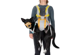 BackTrak™ Dog Evacuation Kit