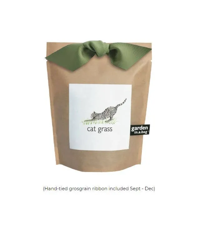 Garden in a Bag | Cat Grass